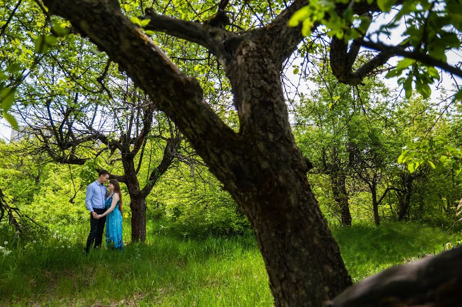 Wedding photographer Natalya Sharova (natasharova). Photo of 26 May 2017