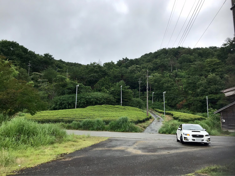 レヴォーグのドライブ・佐嚢高原・朝来市・茶畑に関するカスタム事例の投稿画像2枚目