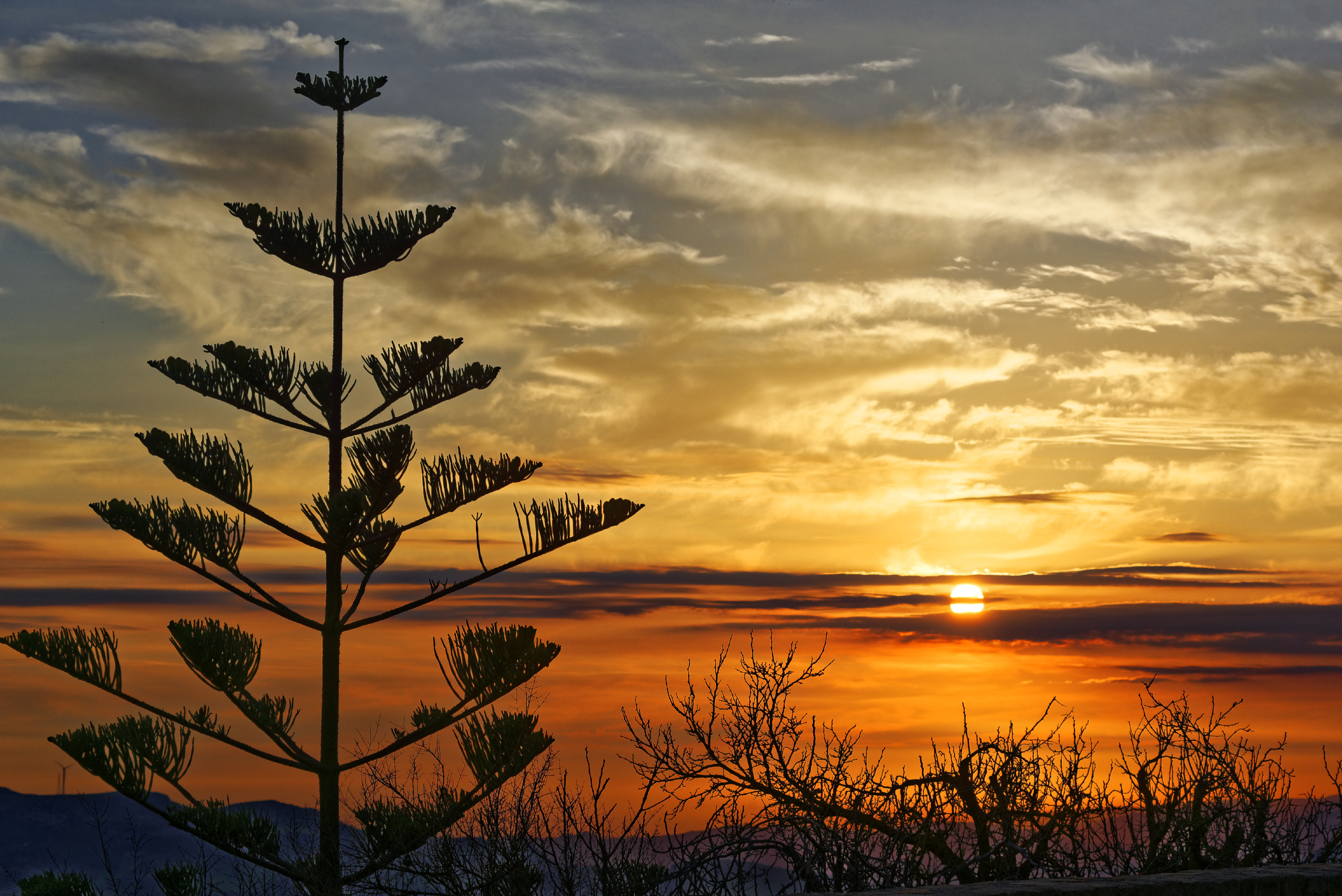 Orange sunset di Yasis