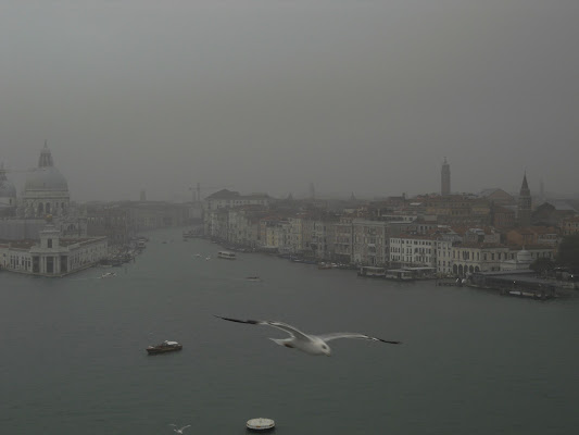 Volare a vista di sil