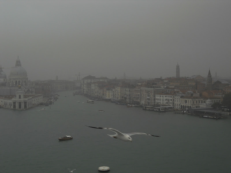 Volare a vista di sil