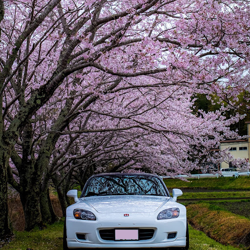 龍統 S2000のプロフィール画像