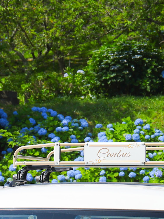 ムーヴキャンバスの梅雨の晴れ間・紫陽花と愛車・紫陽花・紫陽花コラボ・車と風景に関するカスタム事例の投稿画像3枚目