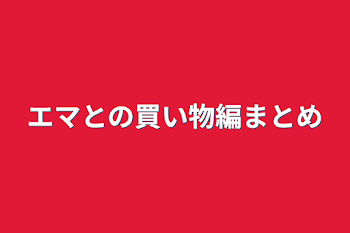 エマとの買い物編まとめ