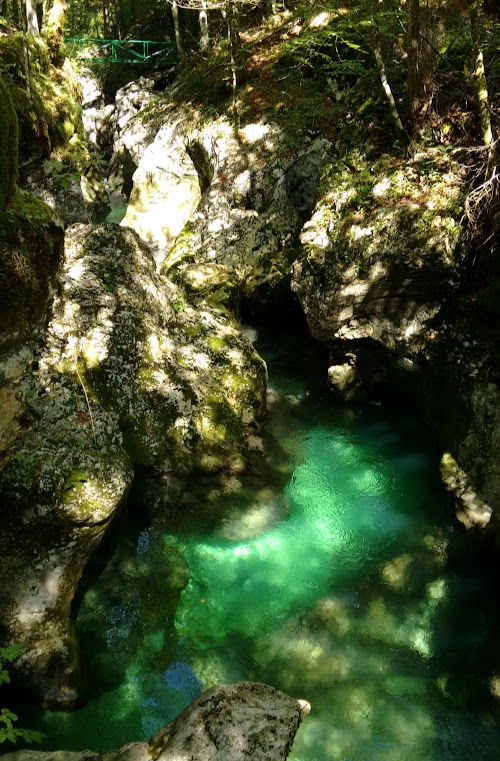 ESLOVENIA EN VERDE Y TURQUESA + VENECIA DE POSTRE - Blogs de Eslovenia - LAGO BOHINJ Y GARGANTA MOSTNICA (7)