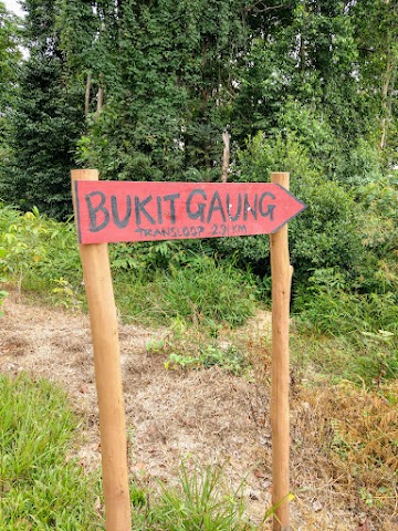 Bukit Maras to Bukit Guang trans loop