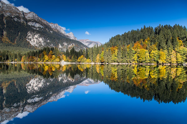 La natura allo specchio di gianfry60