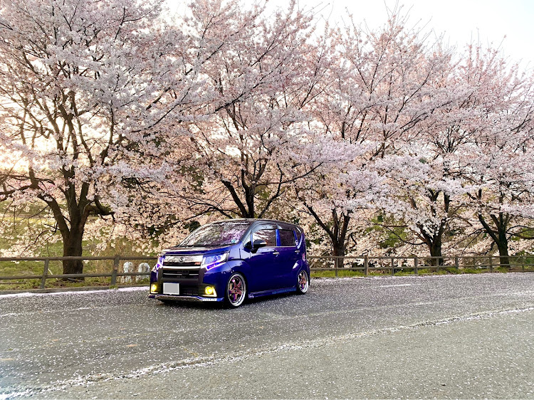 ムーヴカスタムの桜と愛車・桃の花・夜景に関するカスタム事例の投稿画像4枚目