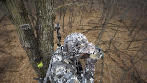 Iowa Late Rut Hunting thumbnail