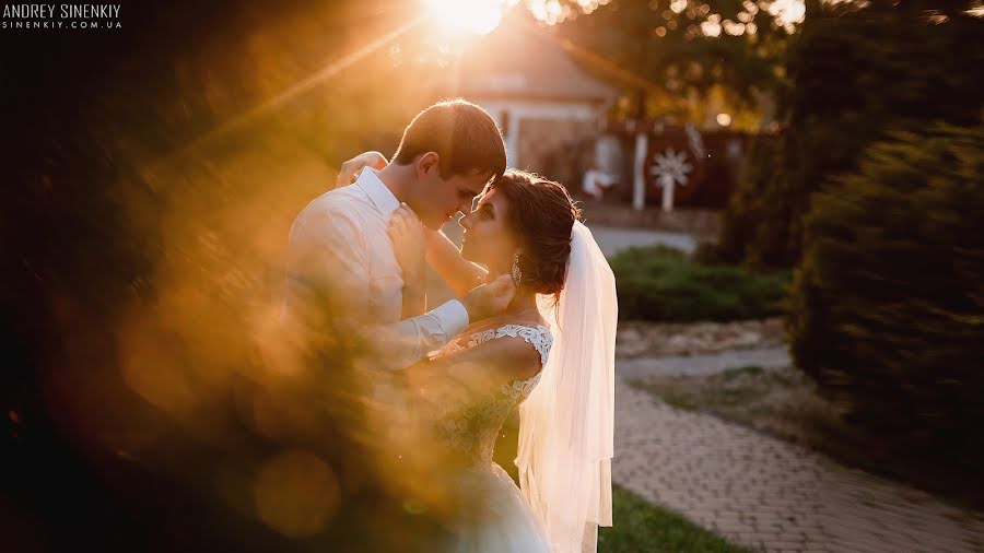 Fotógrafo de bodas Andrey Sinenkiy (sinenkiy). Foto del 18 de agosto 2016