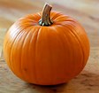 Image result for pumpkin