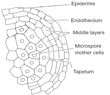 Solution Image