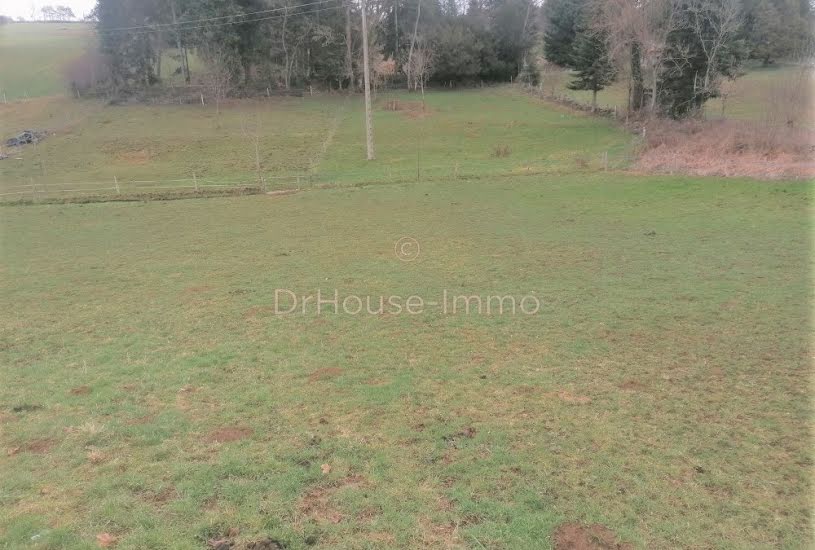  Vente Terrain agricole - 2 315m² à Beaux (43200) 