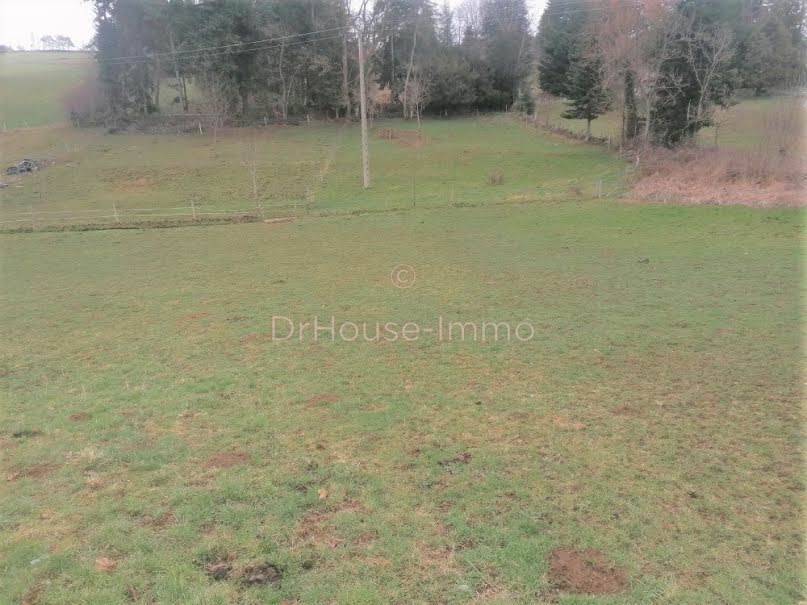 Vente terrain  2315 m² à Beaux (43200), 49 500 €