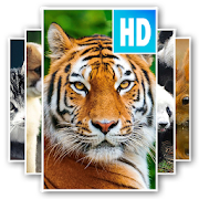 Free Animal Wallpaper 1.0.8 Icon