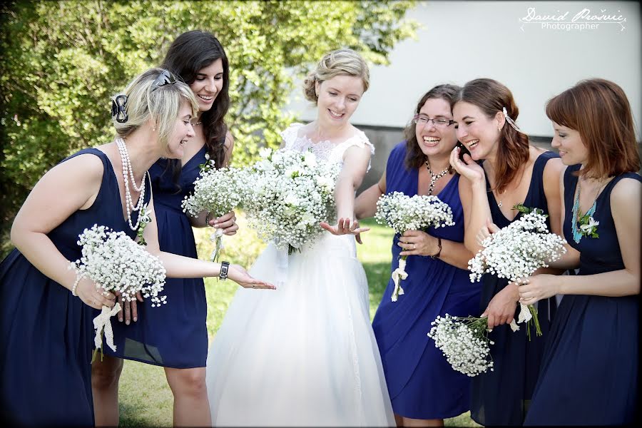 Photographe de mariage David Prošvic (davidprosvic). Photo du 4 février 2016