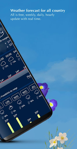 Weather today  Local weather forecast