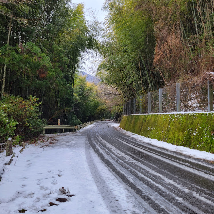 の投稿画像9枚目