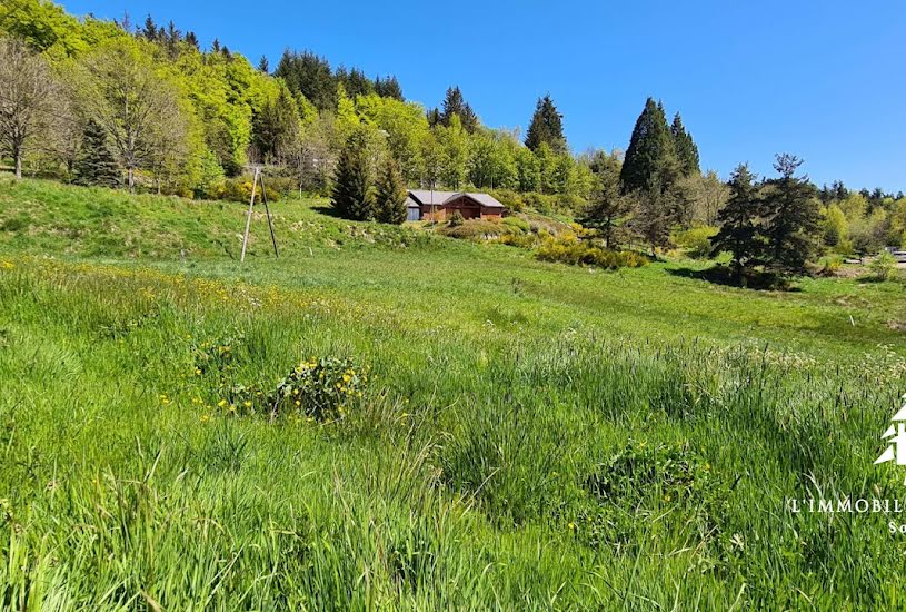  Vente Terrain à bâtir - 1 950m² à Le Chambon-sur-Lignon (43400) 