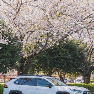 RAV4 MXAA54