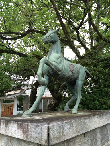 白鳥神社 御神馬