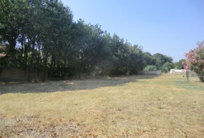  Vente Terrain + Maison - Terrain : 817m² - Maison : 140m² à Toulouges (66350) 