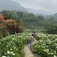 【竹子湖】苗榜花園餐廳