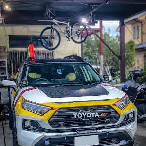 RAV4 MXAA54