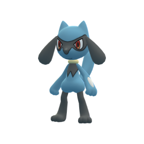 Riolu