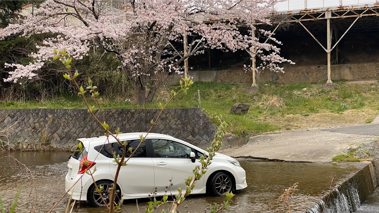 ノートの桜と愛車・洗い越し・コロナ予防のため人気のないところへ。・車で川遊び・川遊びに関するカスタム事例の投稿画像3枚目