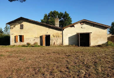 Vineyard with outbuildings 5