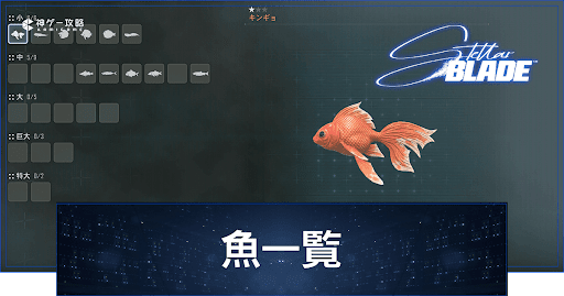 魚一覧