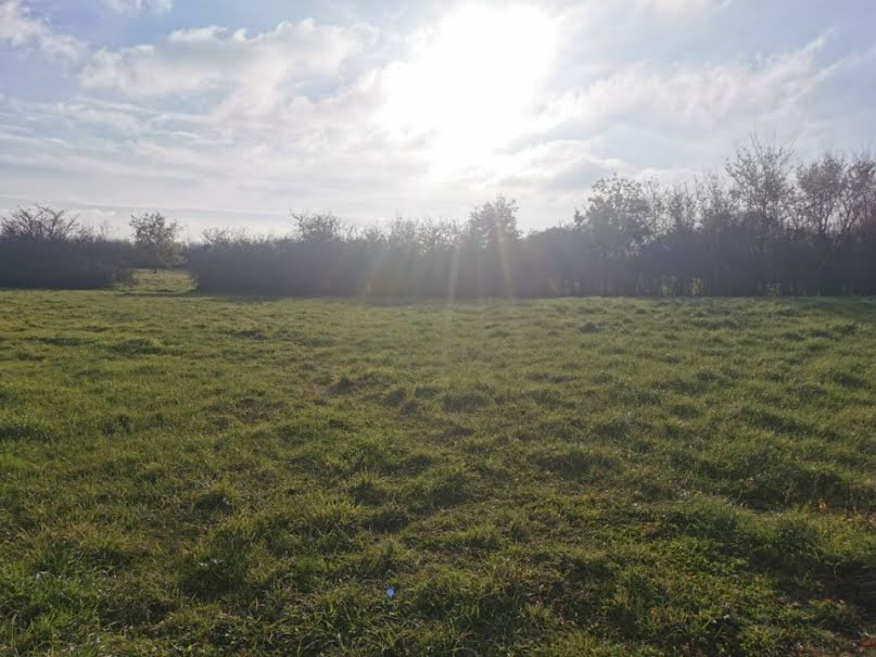 Vente terrain  516 m² à Landeronde (85150), 56 000 €