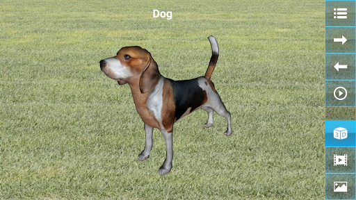 Learn Animals 3D (for kids) - v2.1