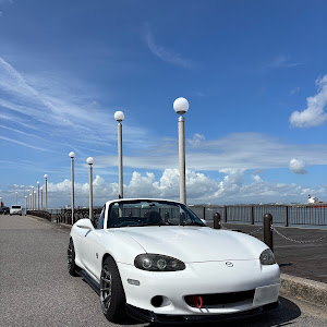 ロードスター NB8C