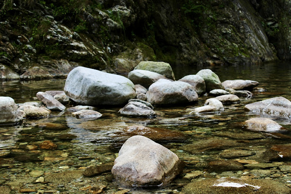 Verde liquido di Cippina