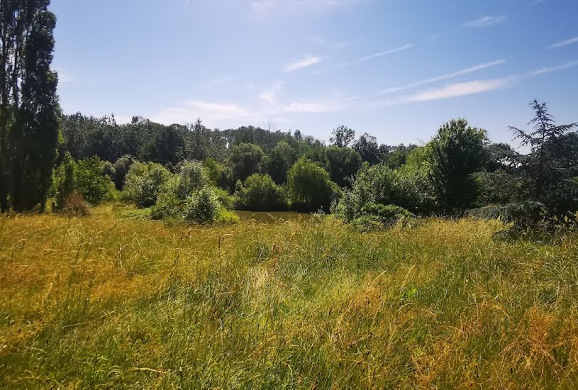  Vente Terrain à bâtir - 11 000m² à Anglus (52220) 