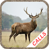 Deer hunting calls icon