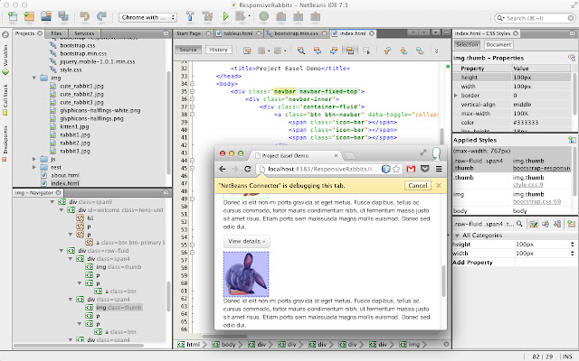 NetBeans Connector chrome extension