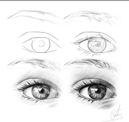 Cum sa desenezi un Ochii  Anime drawings for beginners, Anime eye