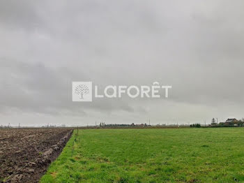 terrain à Calonne-sur-la-Lys (62)