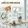 miniatures image - 1