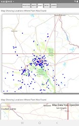 Northeast Mexico Wildflowers android app screen screenshot
