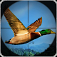 Download Birds Hunting Target Game For PC Windows and Mac 1.0