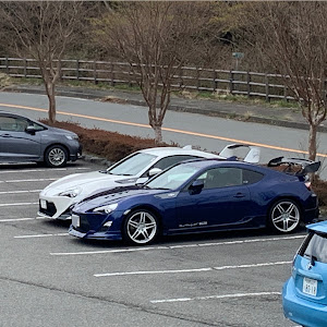 86 ZN6