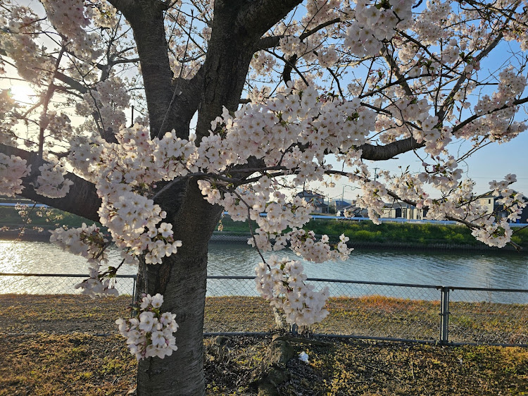 の投稿画像3枚目