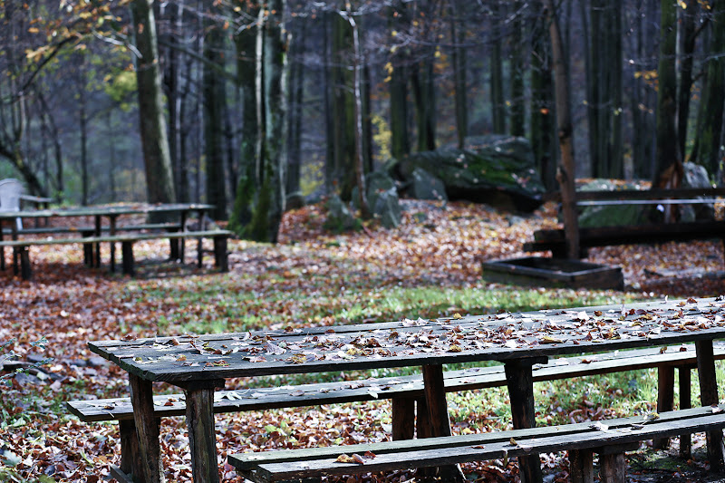 le panchine  di luigino