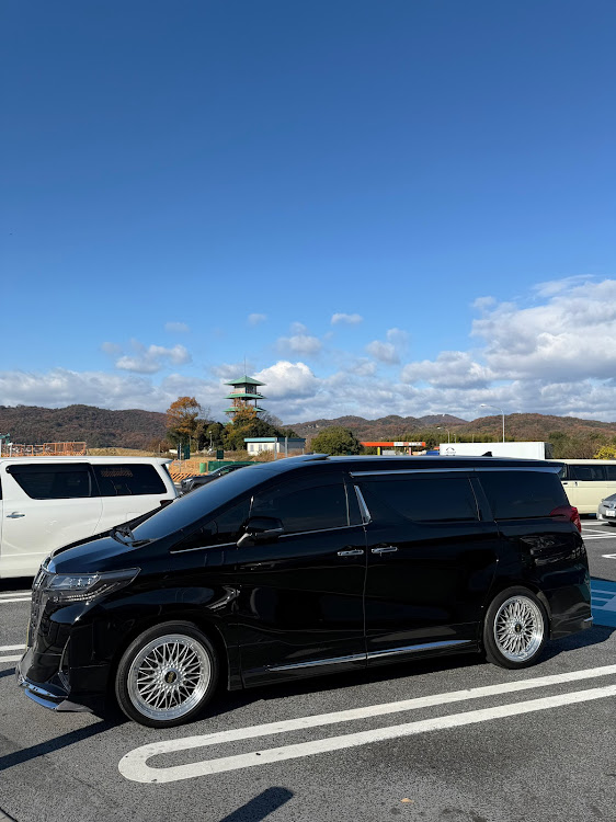 アルファードの駐車枠ぴったり選手権に関するカスタム事例の投稿画像1枚目
