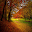Fall Season Wallpapers Download on Windows