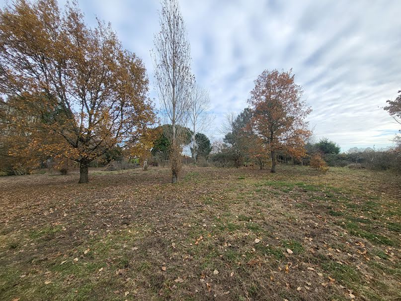 Vente terrain  1000 m² à Blaye (33390), 42 000 €